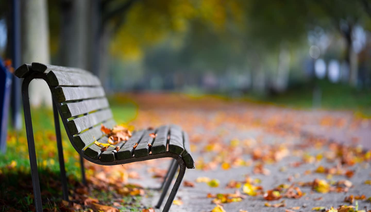 Seasonal Shifts: How Changes in Weather and Daylight Impact Mental Health